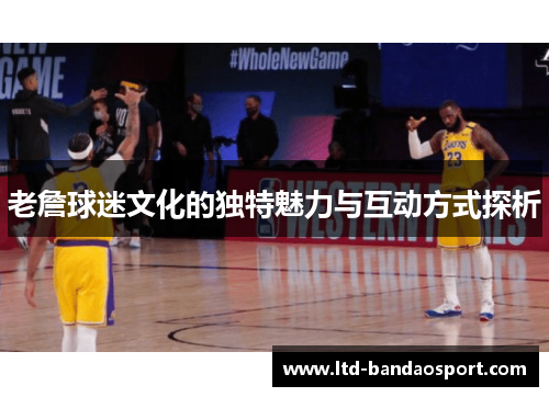 老詹球迷文化的独特魅力与互动方式探析