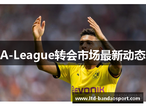 A-League转会市场最新动态
