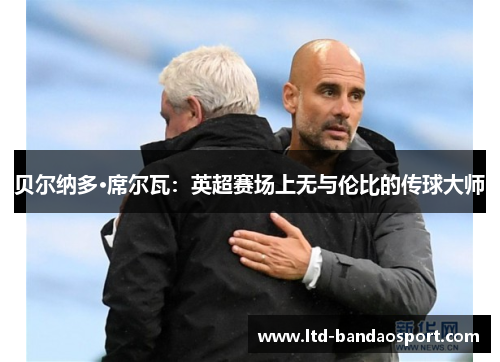贝尔纳多·席尔瓦：英超赛场上无与伦比的传球大师