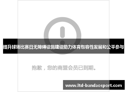 提升球场比赛日无障碍设施建设助力体育包容性发展和公平参与