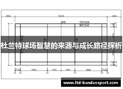 杜兰特球场智慧的来源与成长路径探析