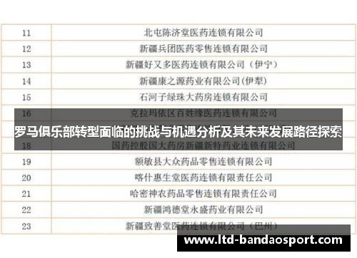 罗马俱乐部转型面临的挑战与机遇分析及其未来发展路径探索