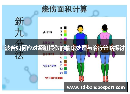 波普如何应对肾脏损伤的临床处理与治疗策略探讨