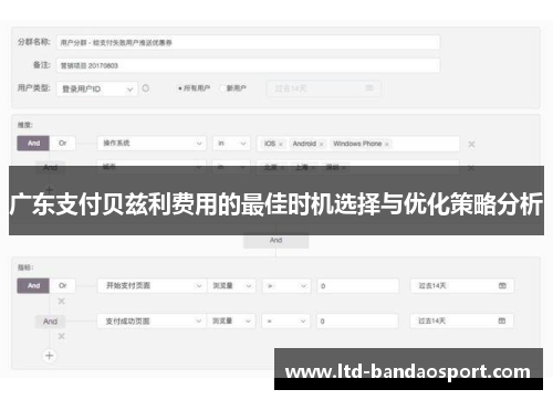 广东支付贝兹利费用的最佳时机选择与优化策略分析