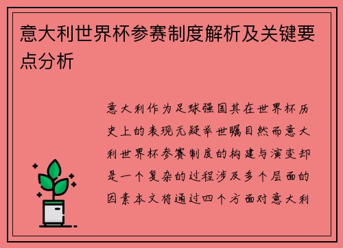 意大利世界杯参赛制度解析及关键要点分析