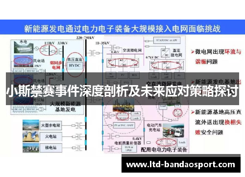 小斯禁赛事件深度剖析及未来应对策略探讨