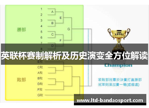 英联杯赛制解析及历史演变全方位解读 英联杯赛制解析及历史演变全方位解读