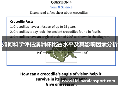 如何科学评估澳洲杯比赛水平及其影响因素分析 如何科学评估澳洲杯比赛水平及其影响因素分析