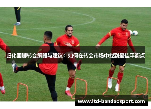 归化国脚转会策略与建议：如何在转会市场中找到最佳平衡点